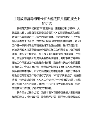 主题教育督导组组长在大起底回头看汇报会上的讲话