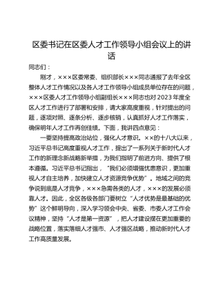 区委书记在区委人才工作领导小组会议上的讲话_1