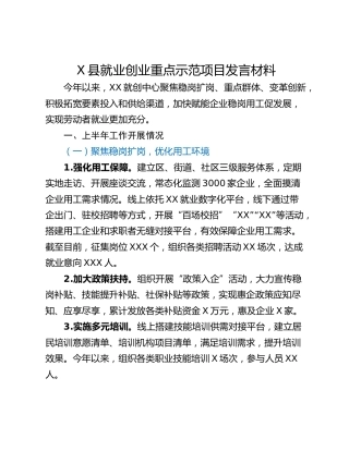 X县就业创业重点示范项目发言材料