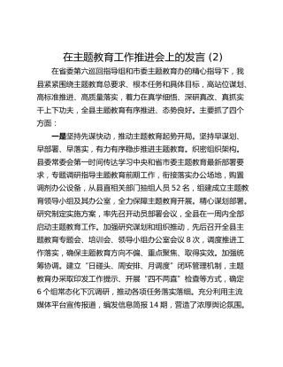 在主题教育工作推进会上的发言 (2)
