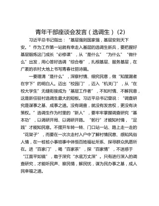青年干部座谈会发言（选调生） (2)