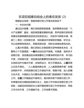 在项目观摩总结会上的表态发言 (2)