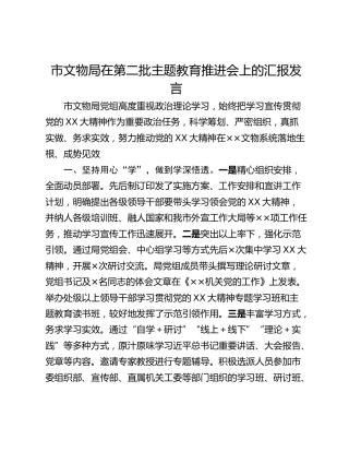 市文物局在第二批主题教育推进会上的汇报发言_1