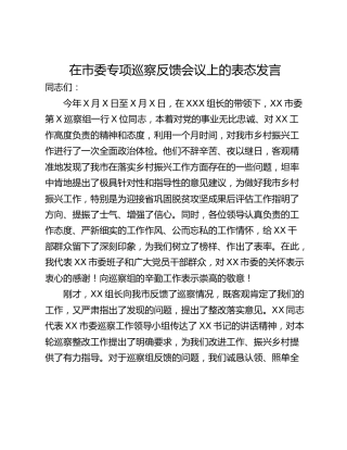 在市委专项巡察反馈会议上的表态发言_1