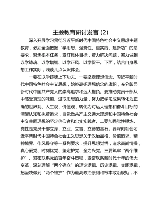 主题教育研讨发言 (2)