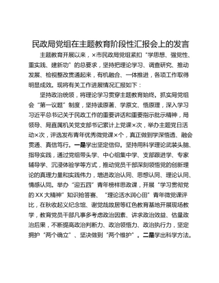 民政局党组在主题教育阶段性汇报会上的发言