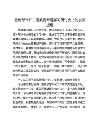 宣传部长在主题教育专题学习研讨会上的发言提纲_1
