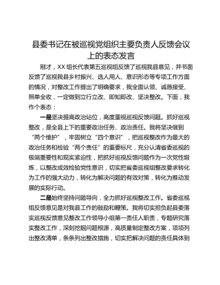 县委书记在被巡视党组织主要负责人反馈会议上的表态发言_1