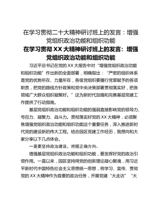 在学习贯彻二十大精神研讨班上的发言：增强党组织政治功能和组织功能