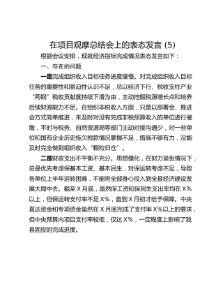 在项目观摩总结会上的表态发言 (5)