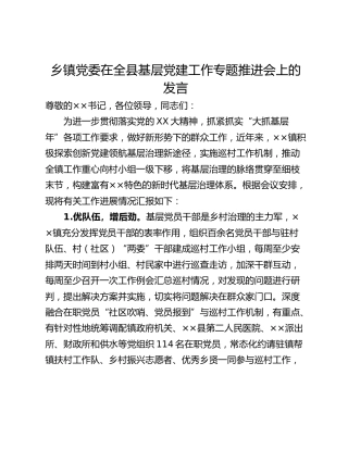 乡镇党委在全县基层党建工作专题推进会上的发言_1