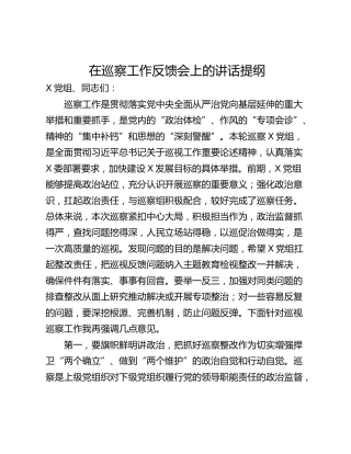 在巡察工作反馈会上的讲话提纲_1