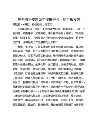 在全市平安建设工作推进会上的汇报发言_1