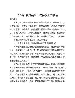 在审计委员会第一次会议上的讲话