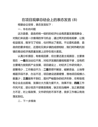 在项目观摩总结会上的表态发言 (8)