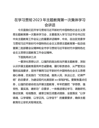 在学习贯彻2023年主题教育第一次集体学习会讲话