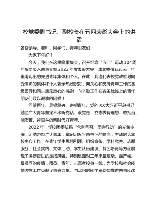 校党委副书记、副校长在五四表彰大会上的讲话