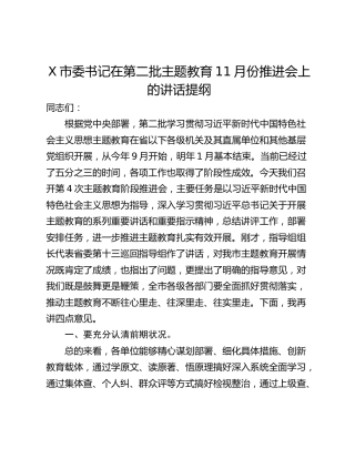 X市委书记在第二批主题教育11月份推进会上的讲话提纲