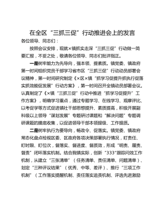 在全区“三抓三促”行动推进会上的发言_1