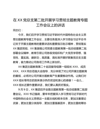在XX党总支第二批开展学习贯彻主题教育专题工作会议上的讲话_1