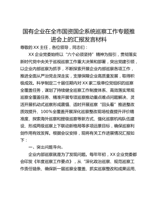 国有企业在全市国资国企系统巡察工作专题推进会上的汇报发言材料_1