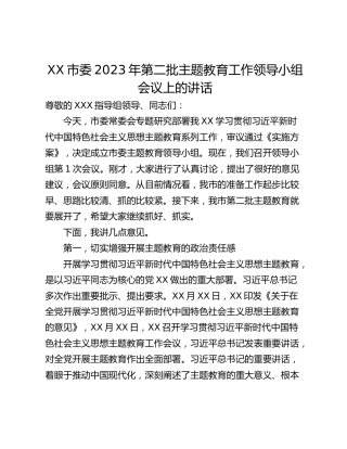 XX市委2023年第二批主题教育工作领导小组会议上的讲话