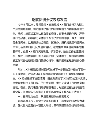 巡察反馈会议表态发言_1