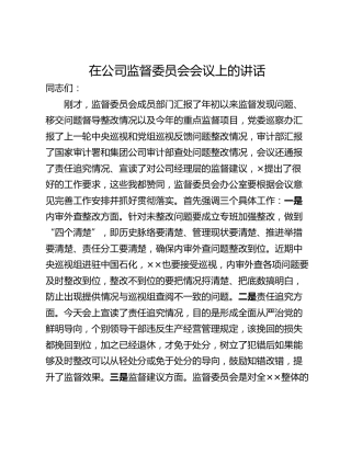 在公司监督委员会会议上的讲话_1