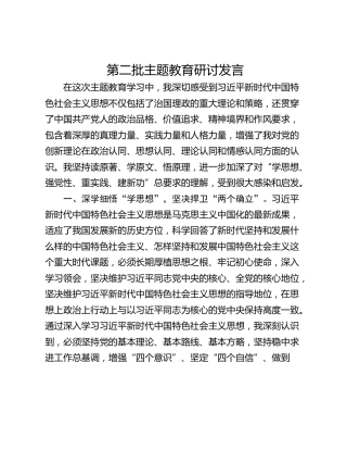 第二批主题教育研讨发言_1