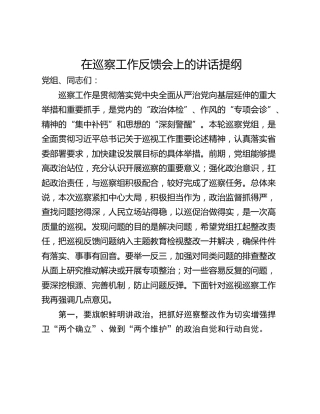 在巡察工作反馈会上的讲话提纲_2
