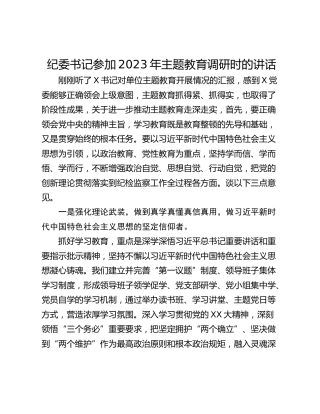 纪委书记参加2023年主题教育调研时的讲话