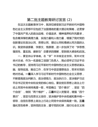 第二批主题教育研讨发言 (2)
