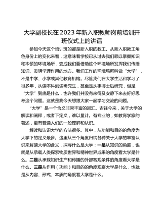 大学副校长在2023年新入职教师岗前培训开班仪式上的讲话
