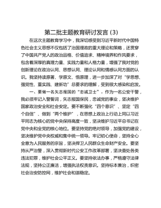 第二批主题教育研讨发言 (3)