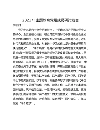 2023年主题教育党组成员研讨发言