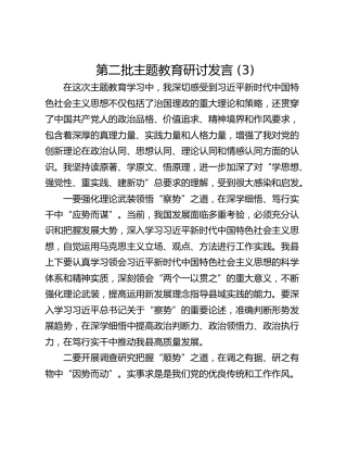 第二批主题教育研讨发言 (3)_1