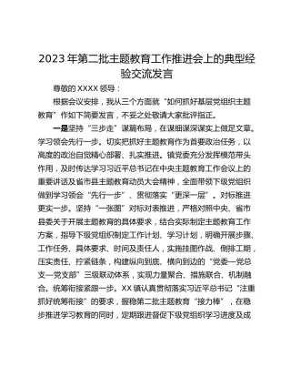 2023年第二批主题教育工作推进会上的典型经验交流发言