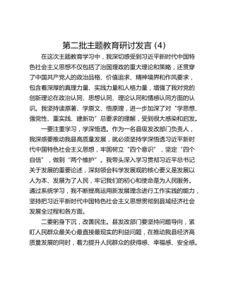 第二批主题教育研讨发言 (4)_1
