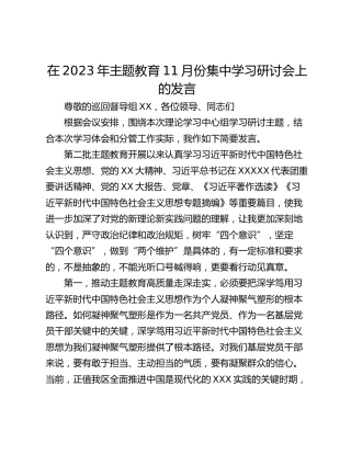 在2023年主题教育11月份集中学习研讨会上的发言