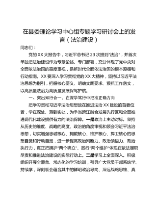 在县委理论学习中心组专题学习研讨会上的发言（法治建设）