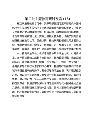 第二批主题教育研讨发言 (13)