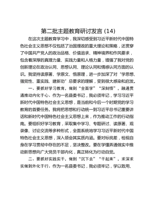 第二批主题教育研讨发言 (14)