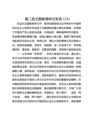 第二批主题教育研讨发言 (15)