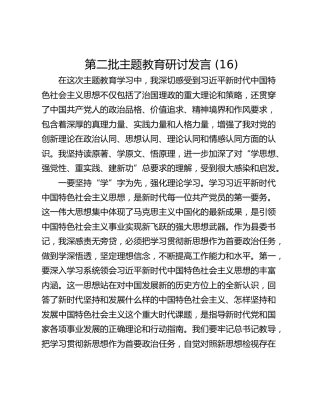 第二批主题教育研讨发言 (16)