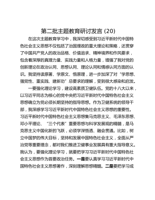 第二批主题教育研讨发言 (20)