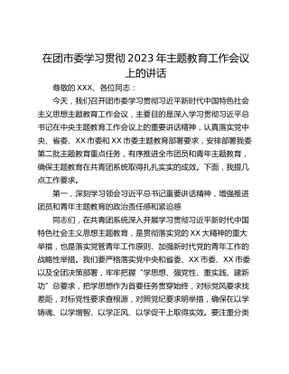 在团市委学习贯彻2023年主题教育工作会议上的讲话