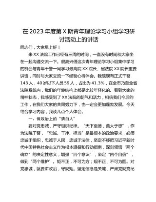 在2023年度第X期青年理论学习小组学习研讨活动上的讲话