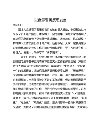 以案示警再反思发言