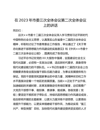 在2023年市委三次全体会议第二次全体会议上的讲话