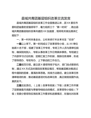 县域共青团基层组织改革交流发言